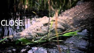 Africa Up Close | Welcome to Rhino Africa Safaris