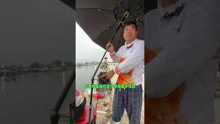 This small umbrella is quite OK #Black pit carp  #Fisherman  #Fishing umbrella  #Fishing equipment