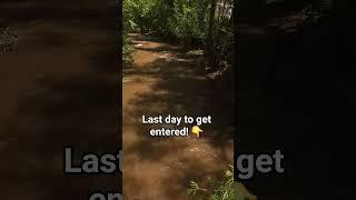last day for the contest!