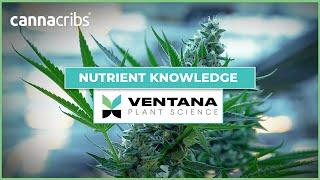 As Seen on Canna Cribs - Nutrient Knowledge with Ventana Plant Science