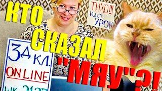 Кто сказал МЯУ на уроке?! Прикол с котом! Наш Ералаш)