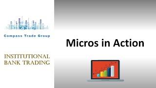 Building with Micros - Intern Trades