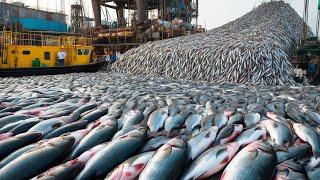 The Untold Secrets of Giant Cod Fishing - What You Never Knew About Alaska's Oceans