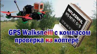 GPS Walksneill с компасом QMS5883 проверка на коптере