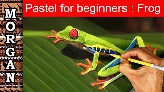 Pastel Painting Techniques for Beginners : wildlife art : Jason Morgan