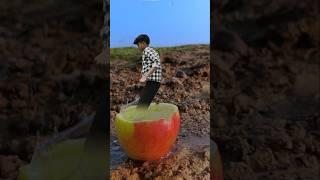 Creative videography Apple  #shorts #apple #creative #trending