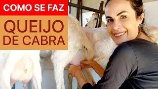  Como fazer QUEIJO DE CABRA artesanal?  feat. Helo Collins | Capril do Bosque