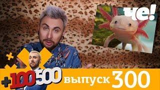 +100500 | Выпуск 300 | Новый 8 сезон на телеканале Че!