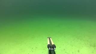 GOPR0193