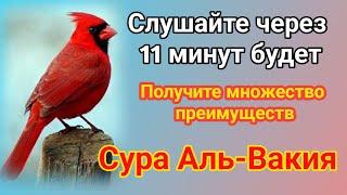 ЭТА СУРА ДОРОЖЕ АЛЛАХУ ЧЕМ ВЕСЬ МИР И ТО ЧТО ЕСТЬ В НЕМ - ВСЯ ВЛАСТЬ У АЛЛАХА Прекрасный коран