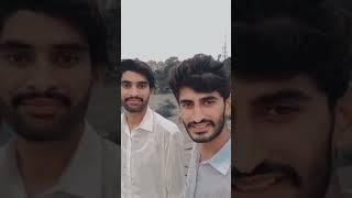 funny videos
