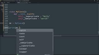 What is the meaning of single and double underscore before an object name?