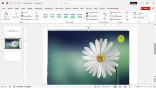 How to insert multiple pictures into Microsoft PowerPoint on different slides