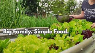 How We Feed Our Family of 11: Garden + Pantry Meals