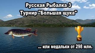 РР3. Турнир "Большая щука" или медальки от 298 млн. Глубинная щука.