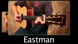 1961 Martin D-28 Vs Eastman E20D Acoustic Guitar Comparison Video