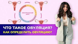 ЧТО ТАКОЕ ОВУЛЯЦИЯ? Как определить овуляцию?