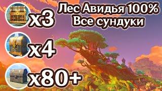 ЛЕС АВИДЬЯ НА 100%,  ВСЕ СУНДУКИ И ЗАГАДКИ ЛЕС АВИДЬЯ, СКРЫТЫЕ СУНДУКИ, СУМЕРУ НА 100%. | Genshin