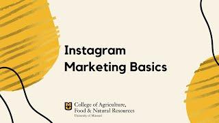 Instagram Marketing Basics