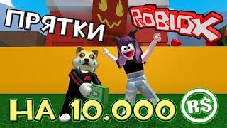 Прятки в Симуляторе Пчеловода НА 10000 РОБУКСОВ, Elladiel Roblox Bee Swarm Simulator