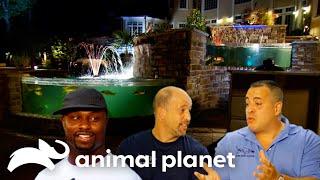 Former NFL Star Bart Scott's Custom Made Tank! | Tanked | Animal Planet