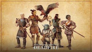 Прохождение: Pillars of Eternity II: Deadfire (Ep 3) Проникновение и штурм форта Мертвого огня