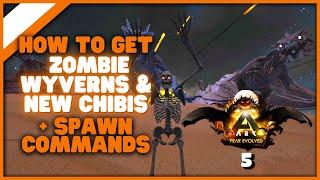 How To Tame Zombie Wyverns Get The New Chibis And Fear Evolved  Spawn Codes The Witching Owl