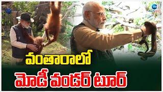 PM Modi Tour In Vantara | Jungle Safari | Anant Ambani sanctuary | వంతారాలో మోడీ వండర్ టూర్ | ZEE