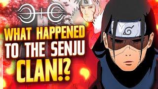 What Happened To The Senju Clan?