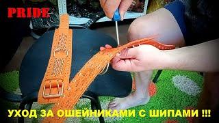 УХОД ЗА ОШЕЙНИКАМИ С ШИПАМИ !!!