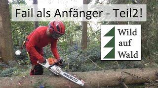 Aufarbeiten Baum: Diese Fehler solltest du niemals machen! #wildaufwald