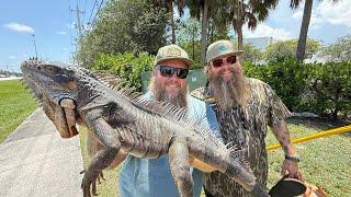 Hunting South Florida’s Most Destructive Invaders in the Urban Jungle!