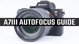 Sony A7III Autofocus Modes Explained