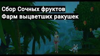 Гайд на фарм Выцветших ракушек, сбор фруктов на Тропическом Атолле | Аллоды Онлайн 14.1