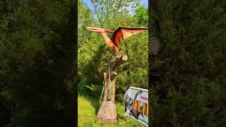 #pterodactyl 