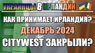 Как принимает Ирландия украинцев  Декабрь 2024