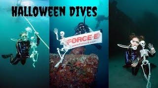 Scuba Halloween Dives in Pompano Beach, FL - Scuba Vlog