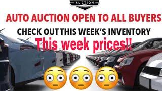 Public & Dealer Auto Auction!! Walkthrough + Advice!!