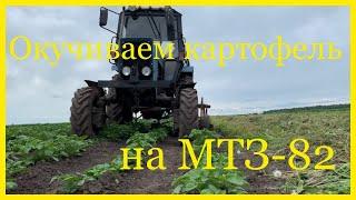 Окучиваем картофель на МТЗ-82