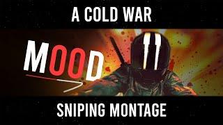 When SNIPERS beat META // "Mood" - Black Ops Cold War Montage