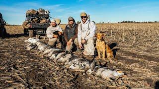 HUNTING A GIANT SPREAD AND 1,000’S OF BIRDS!!