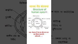 मानव नेत्र संरचना  structure of human eyes   aankh ki sanrachana, eyes structure class 10