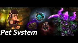 Metin2 Pet System