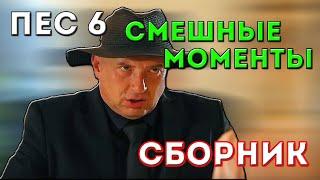 ПЕС 6 - СМЕШНЫЕ МОМЕНТЫ (все серии 1-20) СБОРНИК