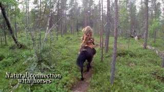 Arctic forest horseback archery