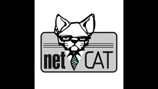 Ten Minute Tutorials : Netcat Basics