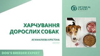 Dog's Breeder expert. Харчування дорослих собак. Агамалієва Крістіна. 28.05.2024