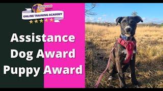 Assistance Dog Award - Puppy Award, with Adolescent Dogs