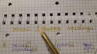 29.05.2025 UMA Studying or Ukrainian for Beginners. Video 3