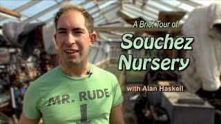 Haskell's Souchez Nursery Tour 2009 - HD Remaster 2023